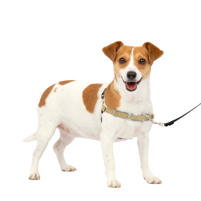 Easy Walk® Harness, No Pull Dog Harness