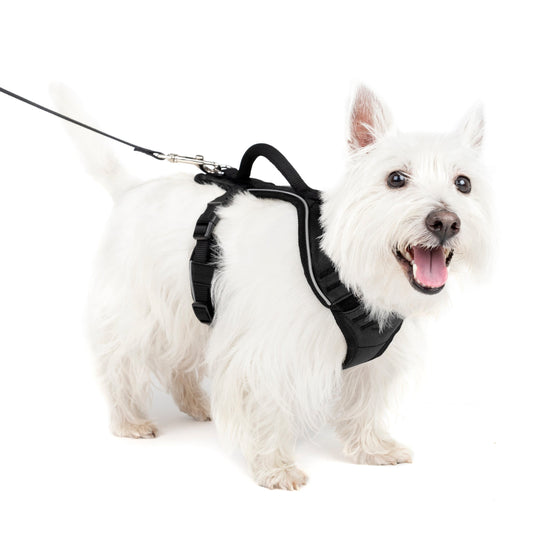 EasySport Harness