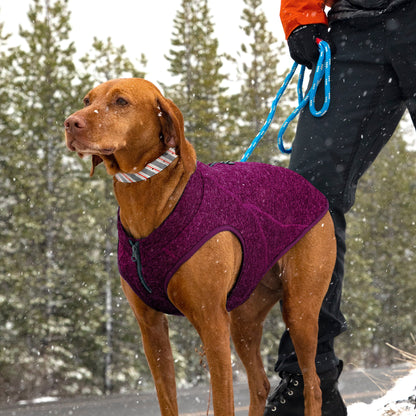 A dog wearing the K9 Core Sweater in Heather Purple while out in the snowy woods.