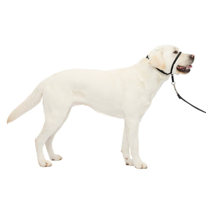 Gentle Leader® Headcollar, No-Pull Dog Collar