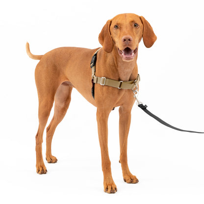 Easy Walk® Harness, No Pull Dog Harness