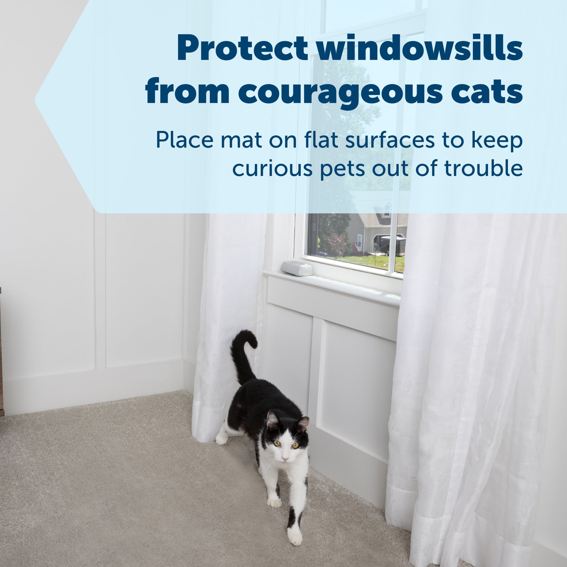 cute cat by a windowsill pet proofed by a strip version of the scatmat