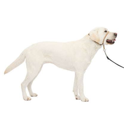 Gentle Leader® Headcollar, No-Pull Dog Collar
