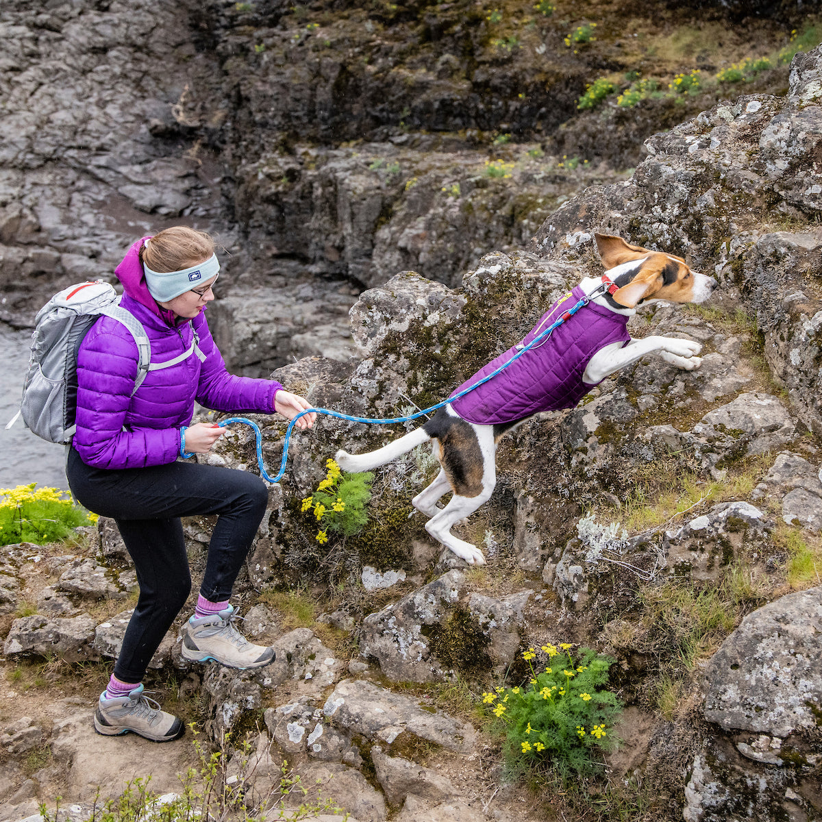 A woman hiking with her dog. She is wearing a purple winter coat, and her dog is clambering over the rocks while wearing a purple Loft Jacket. 