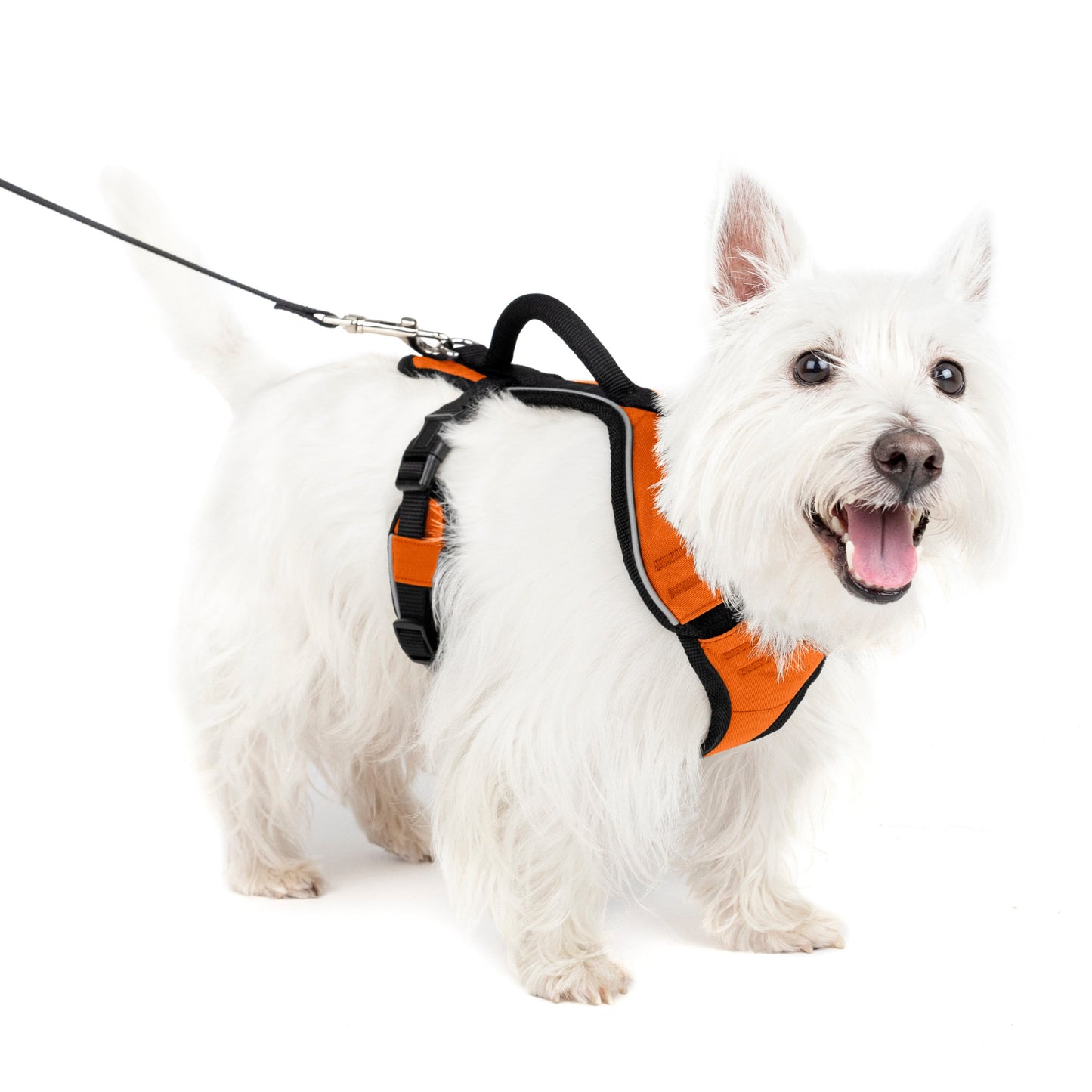 EasySport Harness