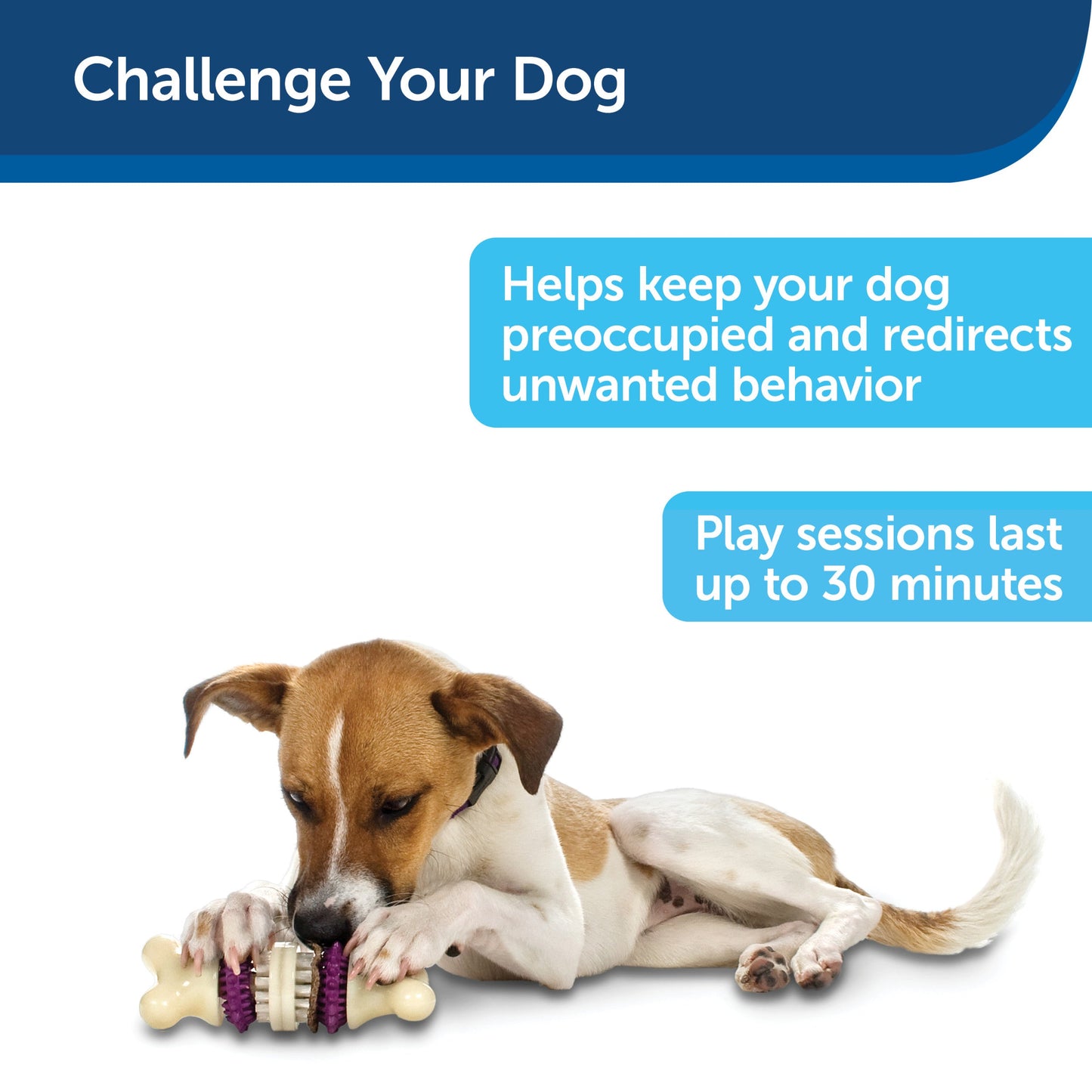 Busy Buddy® Bristle Bone®