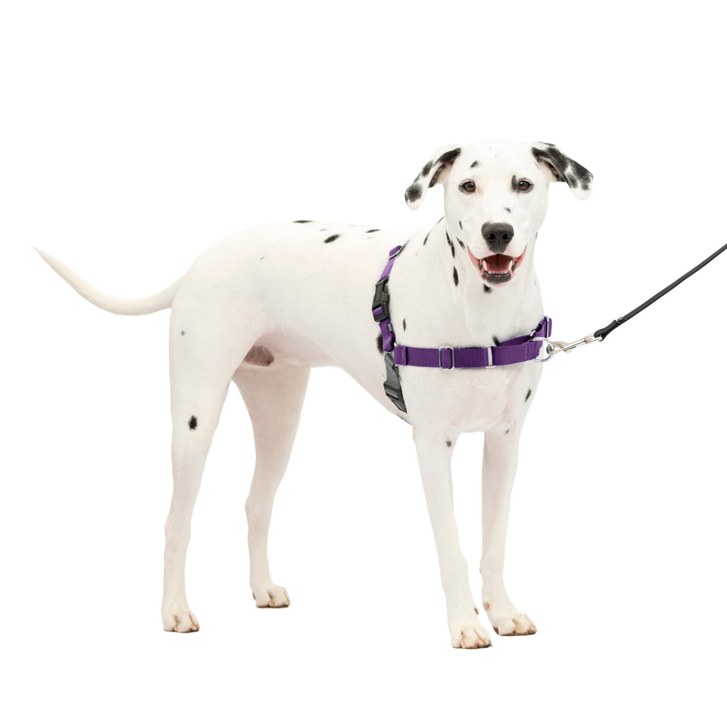 Easy Walk® Harness, No Pull Dog Harness