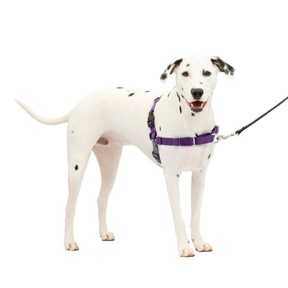 Easy Walk® Harness, No Pull Dog Harness