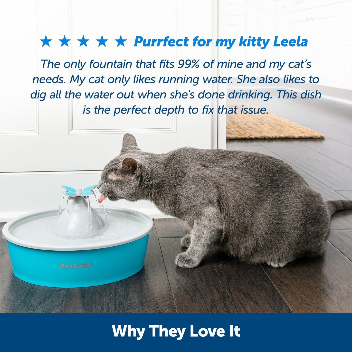 Drinkwell® Butterfly Pet Fountain