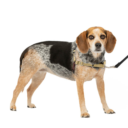 Easy Walk® Harness, No Pull Dog Harness
