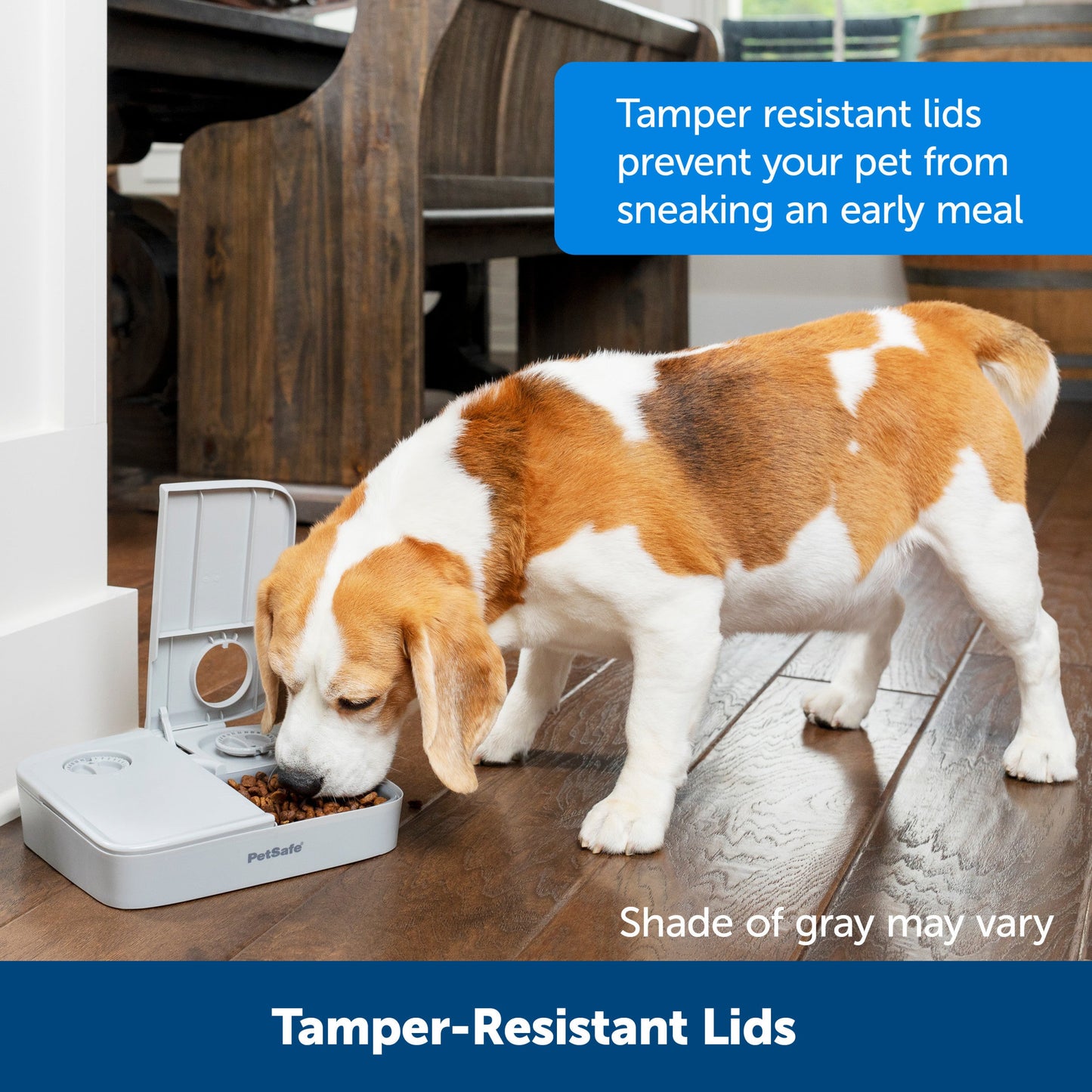 Automatic 2 Meal Pet Feeder