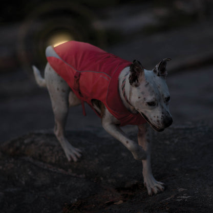 North Country Dog Coat