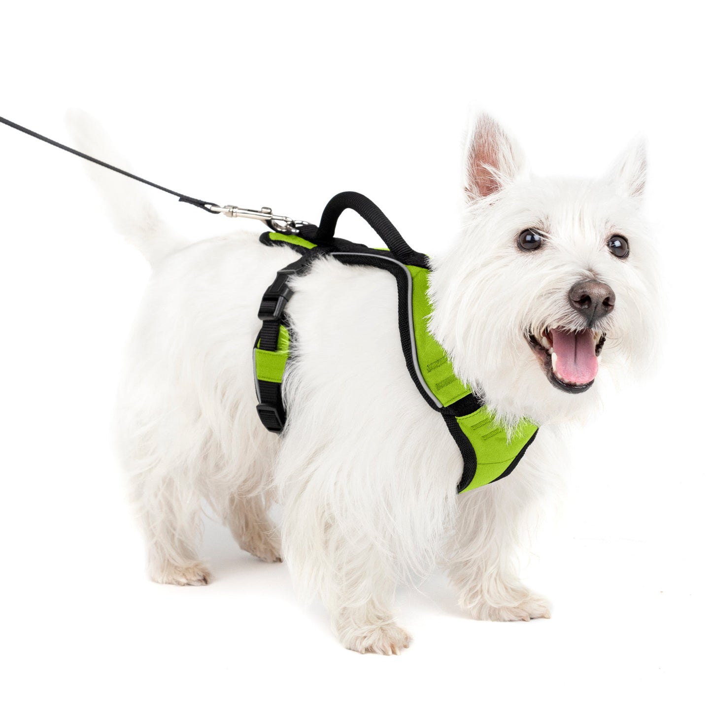 EasySport Harness