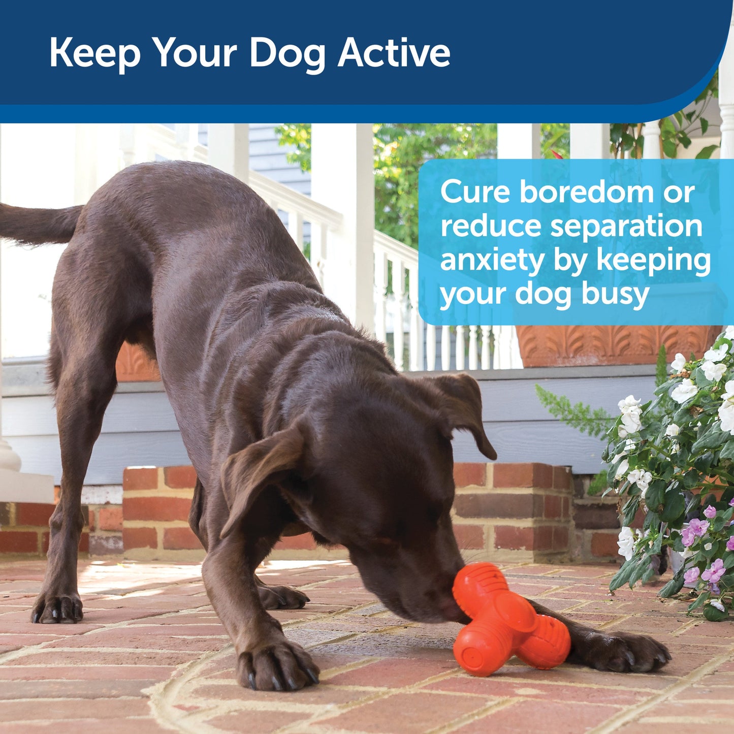 Busy Buddy® Squeak ‘n Treat Troog