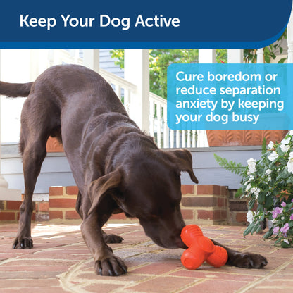 Busy Buddy® Squeak ‘n Treat Troog