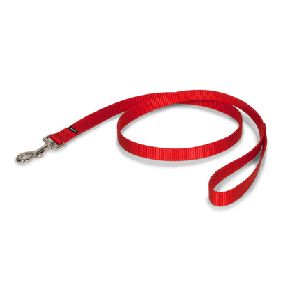 Nylon Leash