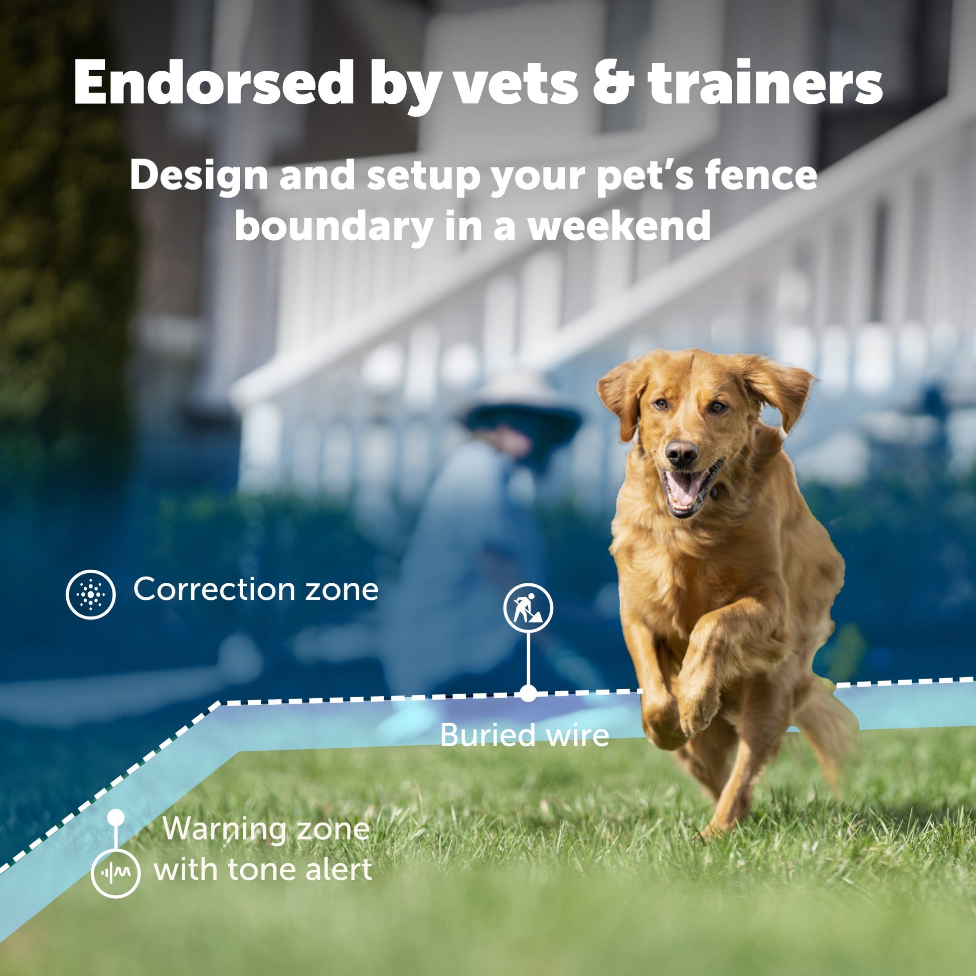 A dog playing in their yard with a visual of how the boundary works endorsed by vets and trainers setup your fence in a weekend