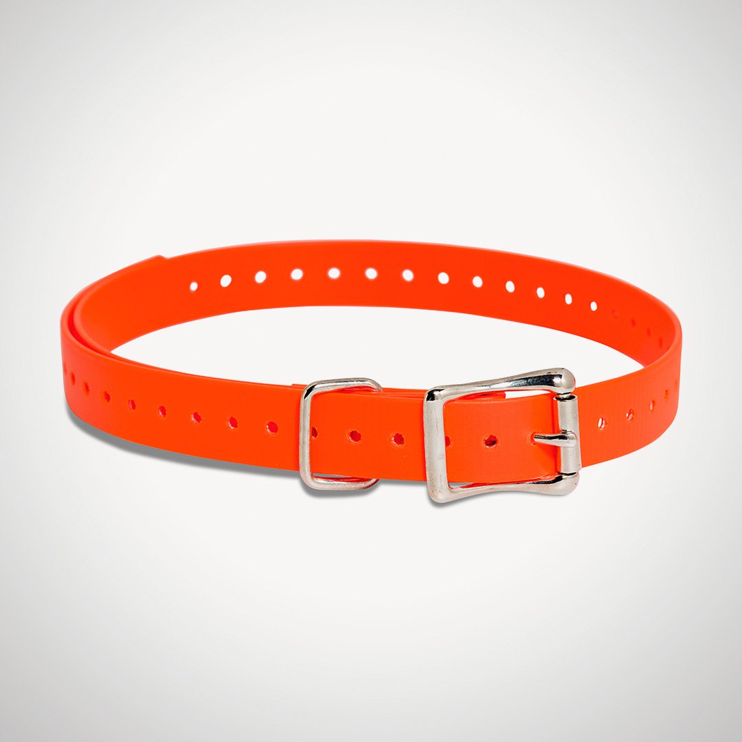Replacement 3/4" Collar Straps