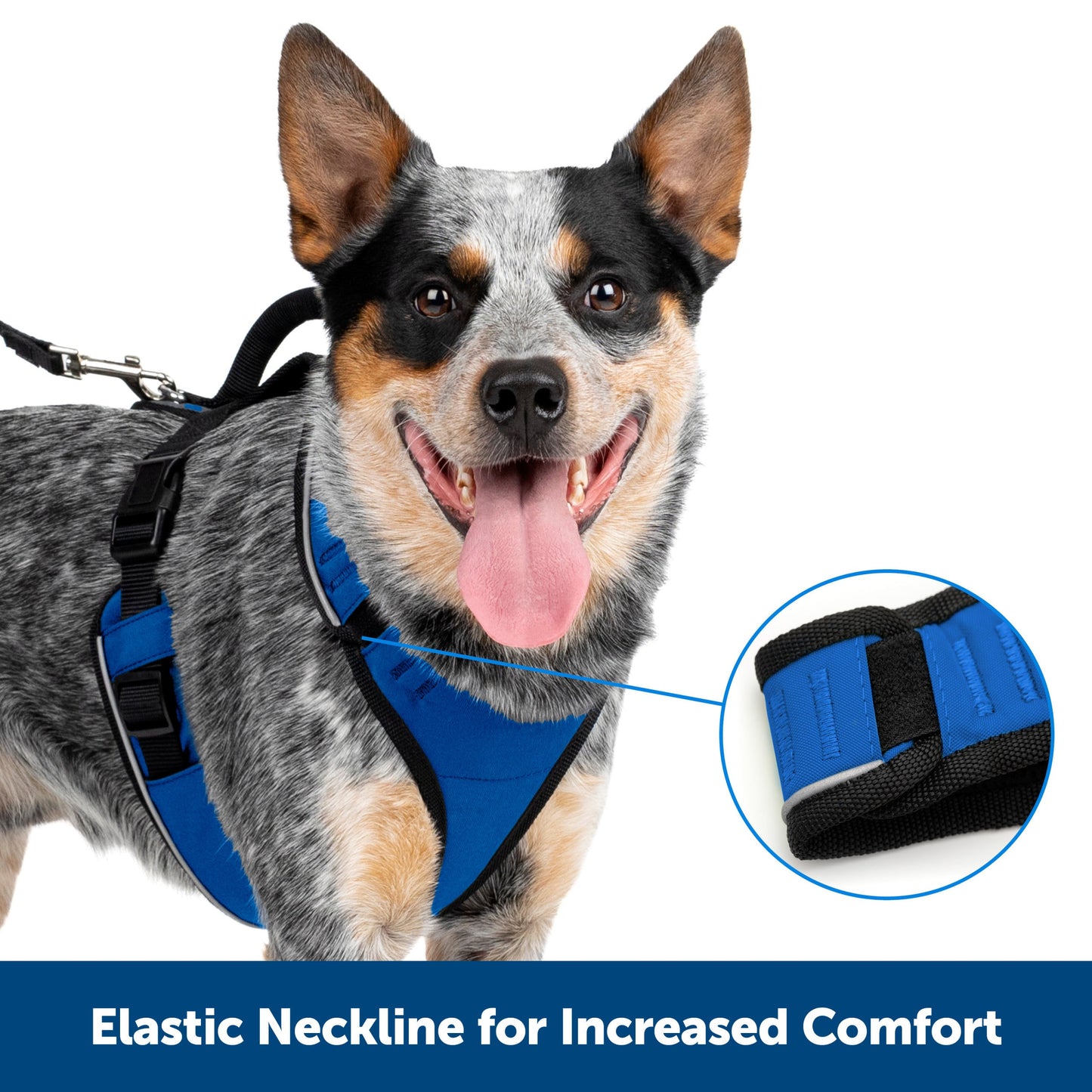 EasySport Harness