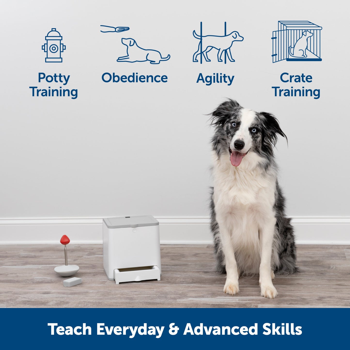 Teach & Treat Remote Reward Trainer