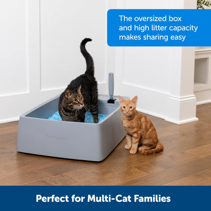 Multi-Cat Litter Box
