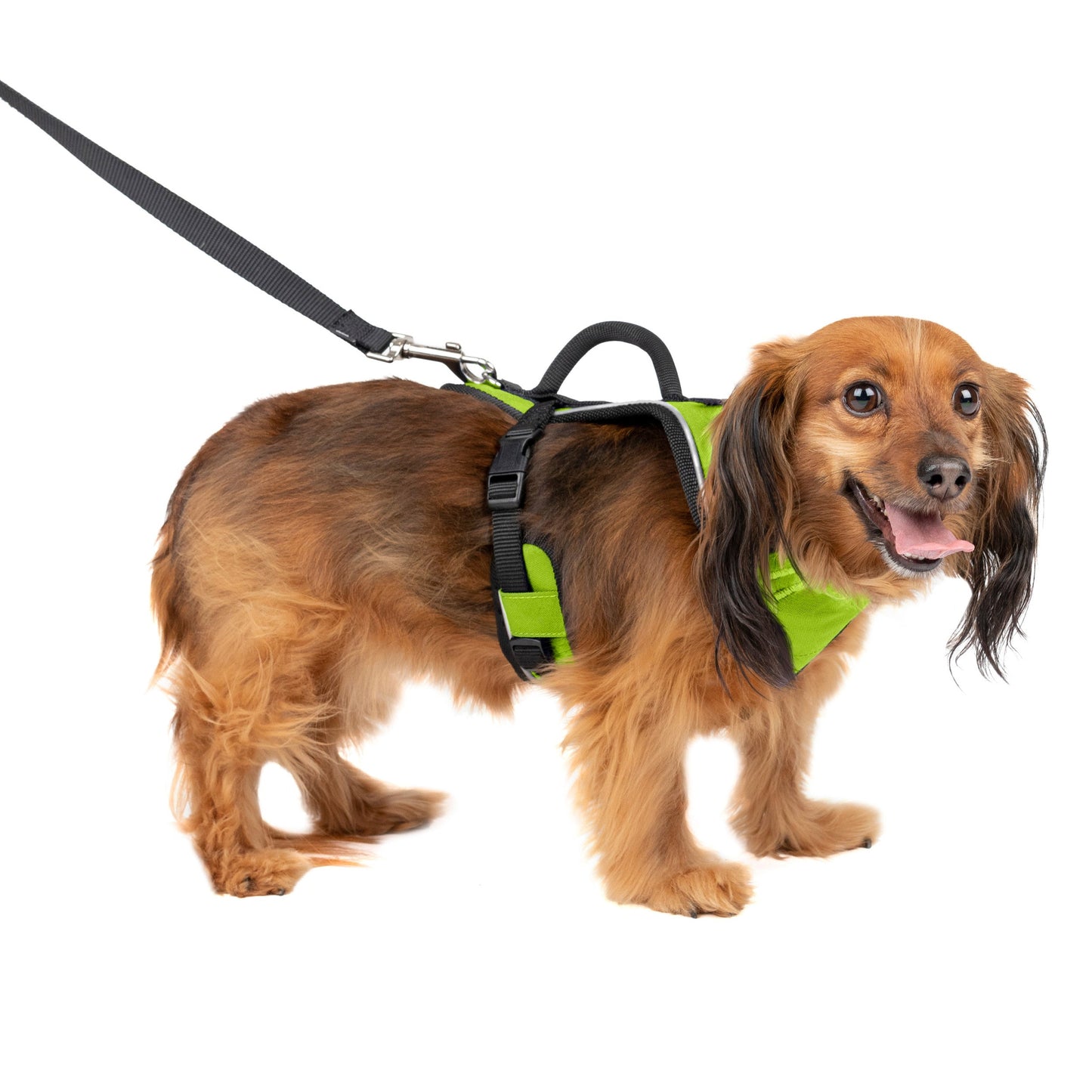 EasySport Harness