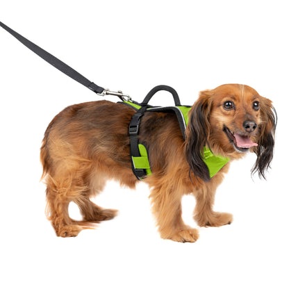 EasySport Harness