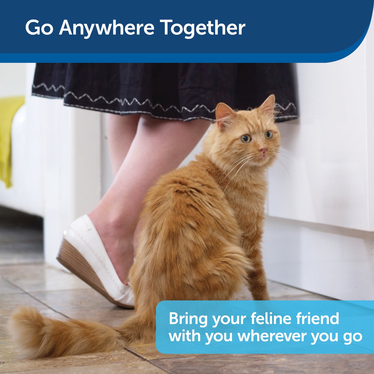 Disposable Litter Box with Litter