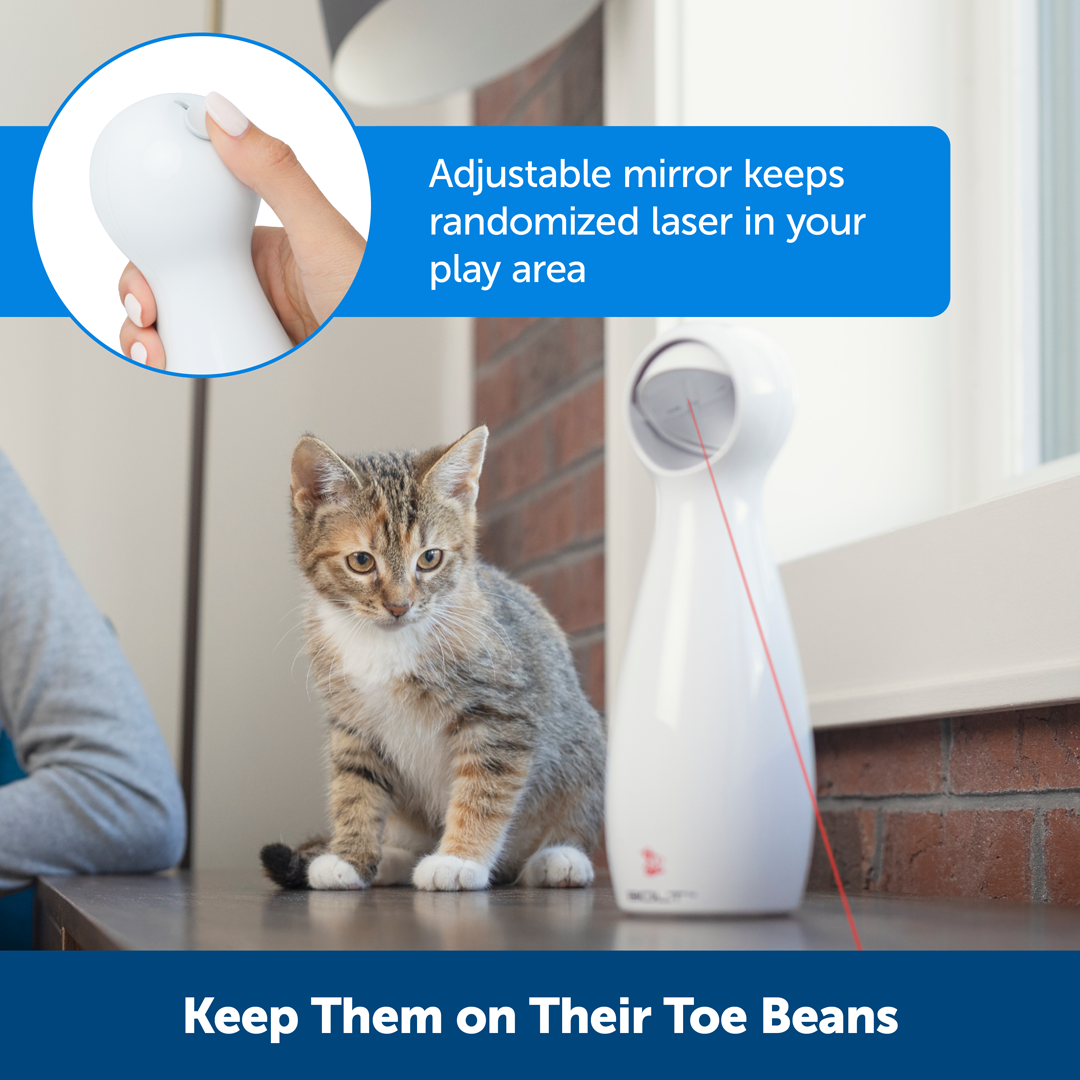 Bolt Automatic Laser Light Cat Toy