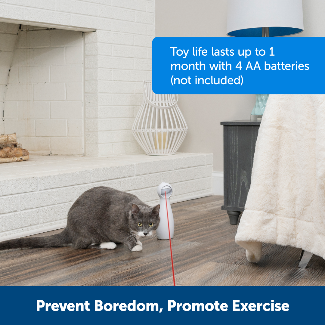 Bolt Automatic Laser Light Cat Toy