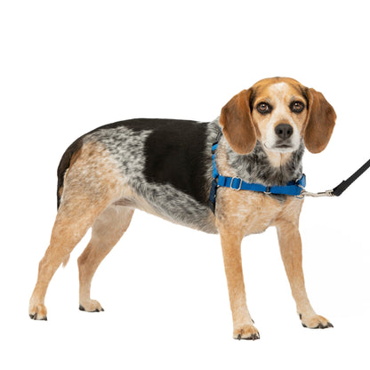 Easy Walk® Harness, No Pull Dog Harness