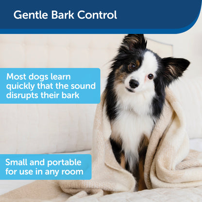 Indoor Bark Control, 1-Pack