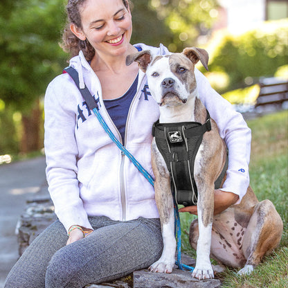 Tru-Fit Smart Dog Walking Harness