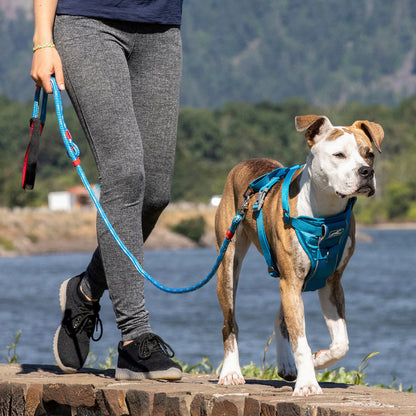 Tru-Fit Smart Dog Walking Harness