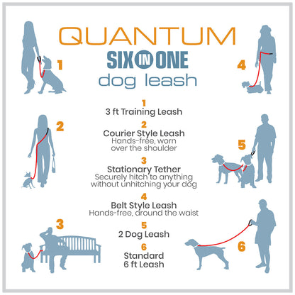 Quantum 6-in-1 Dog Leash