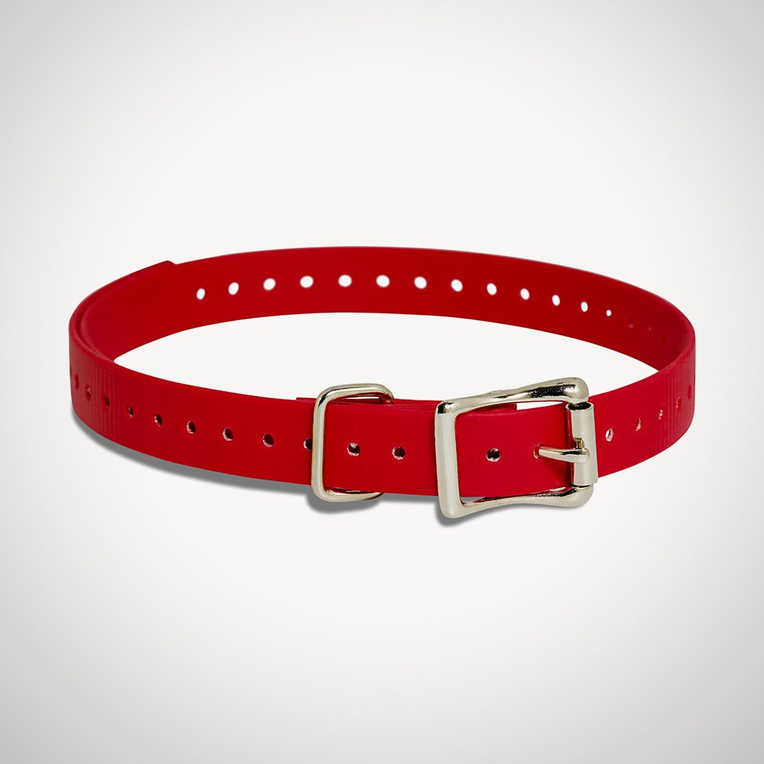 Replacement 3/4" Collar Straps