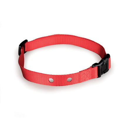 Replacement Collar Strap with 2 Holes