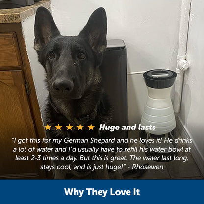 Healthy Pet Water Station™