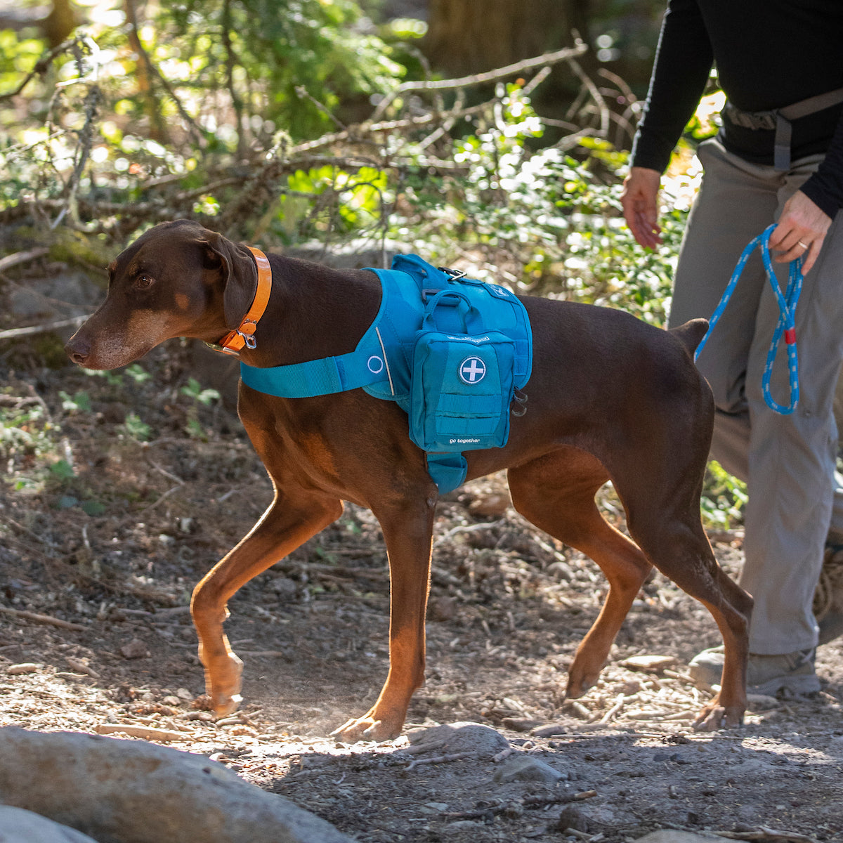 RSG Dog First Aid Kit