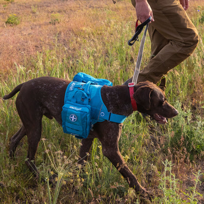 RSG Dog First Aid Kit
