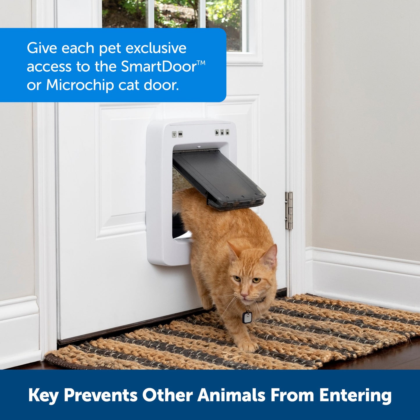 SmartDoor™ Connected Pet Door Key