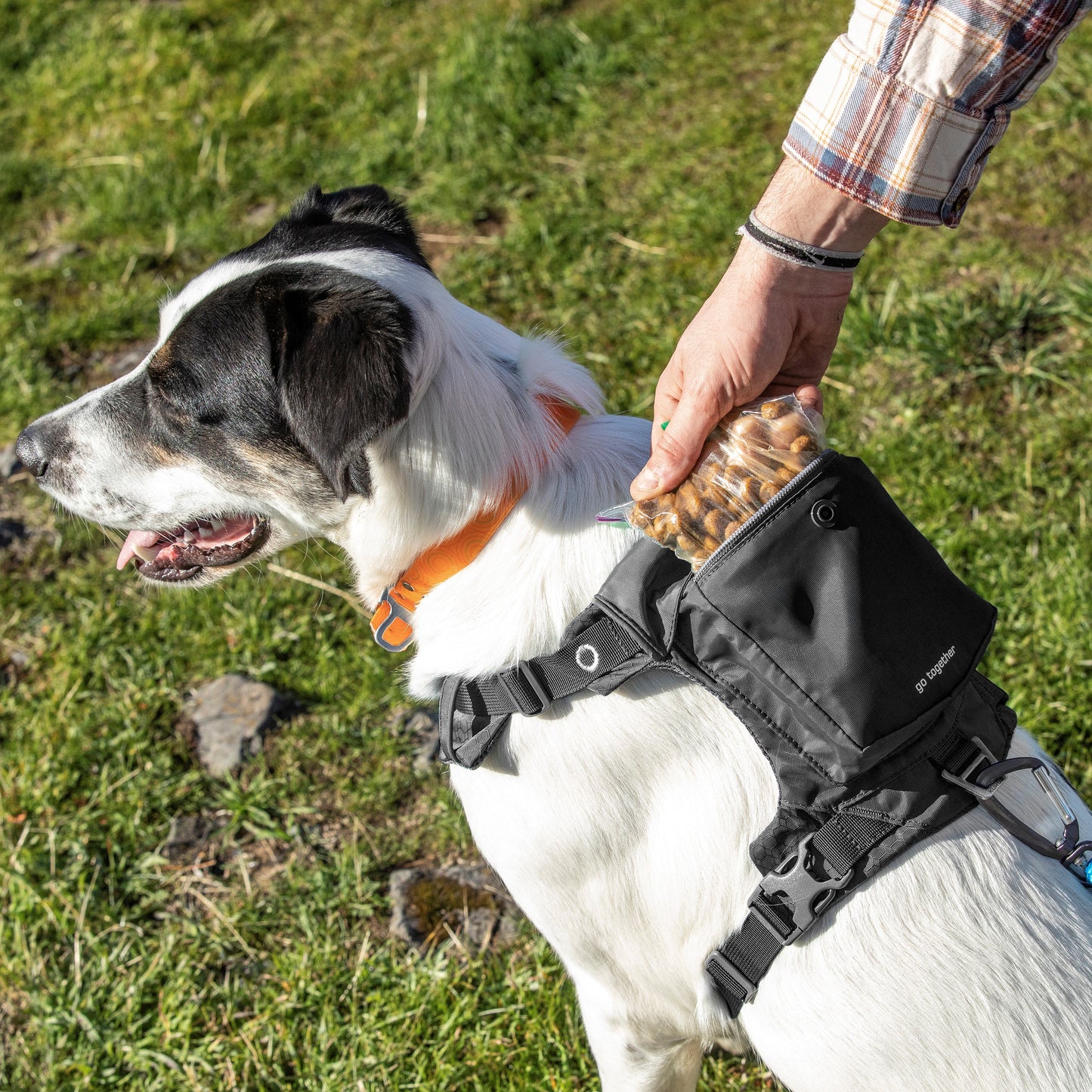 Stash n' Dash Harness