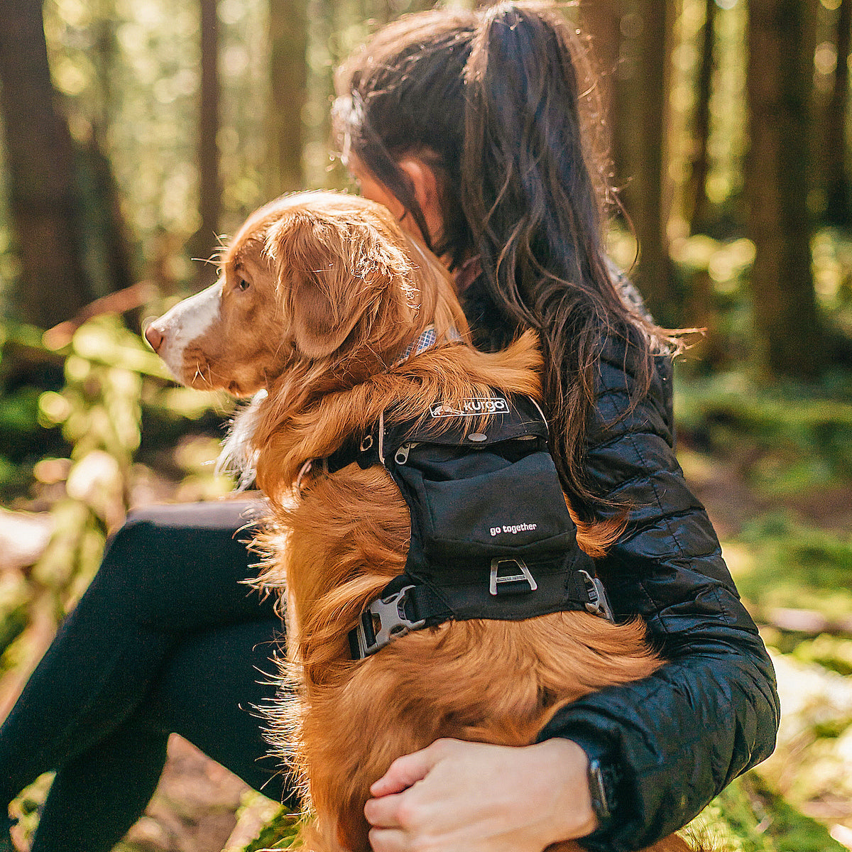 Stash n' Dash Harness