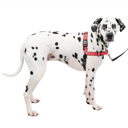 Deluxe Easy Walk® Harness