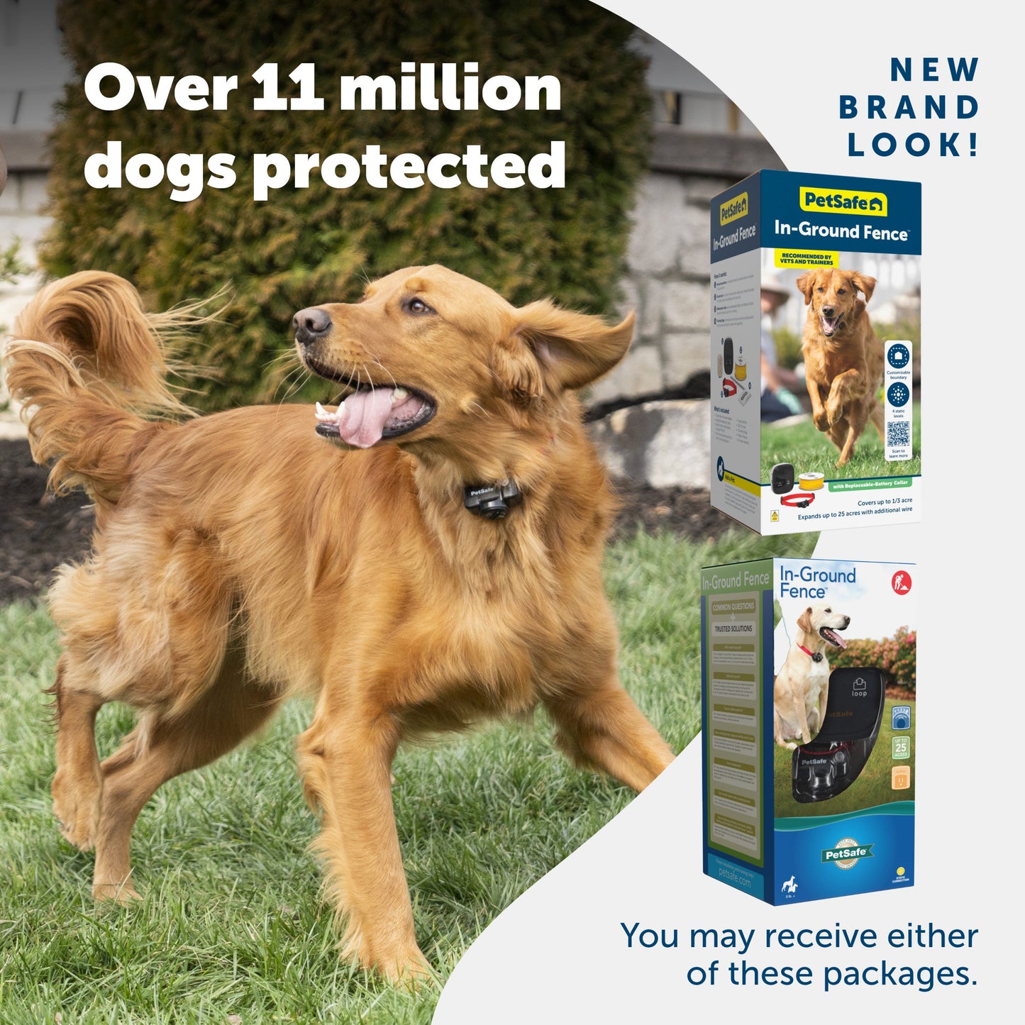 A happy dog enjoying their yard and 2 packaging options you may receive PetSafe has a new brand look Over 11 million dogs protected
