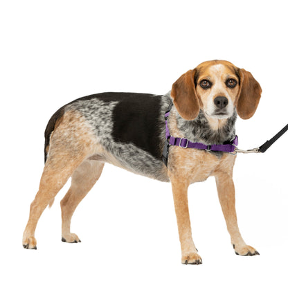 Easy Walk® Harness, No Pull Dog Harness