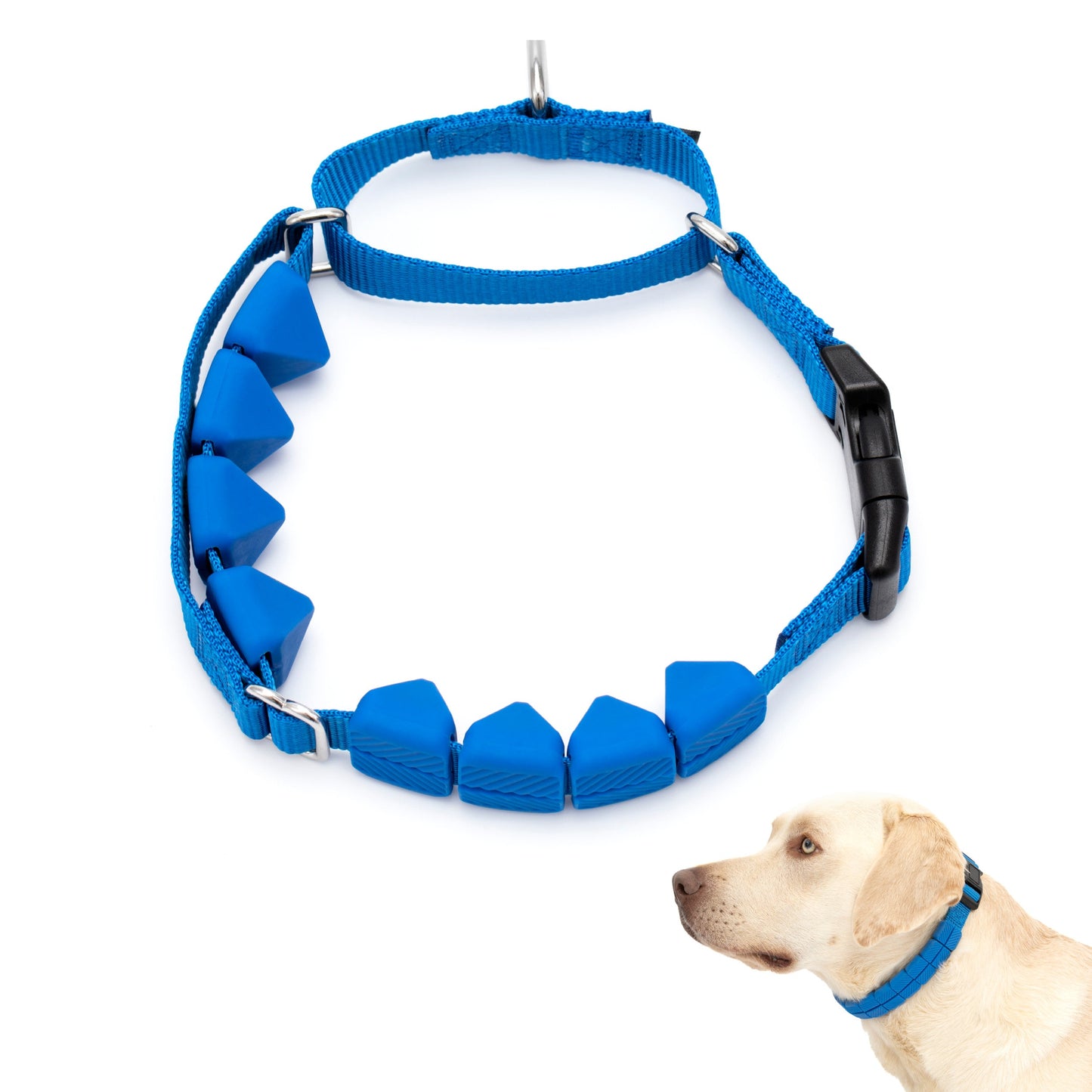 Soft Point Training Collar