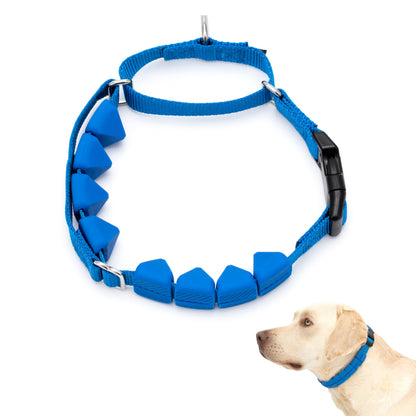 Soft Point Training Collar