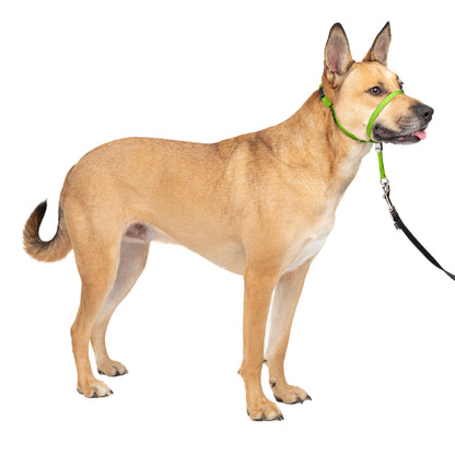 Gentle Leader® Headcollar, No-Pull Dog Collar