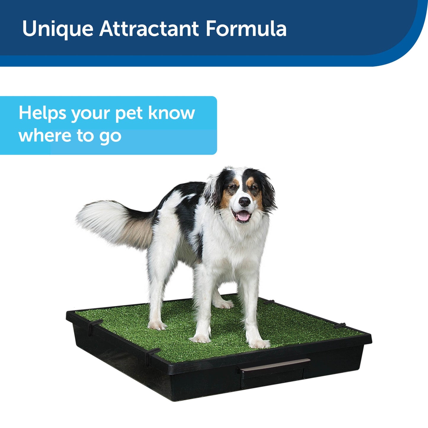 Skip To My Loo House Training Scent